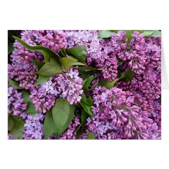 GREETING CARD Lilacs in bloom