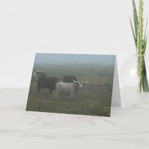 Greeting Card "Longhorns in the Fog" (blank inside