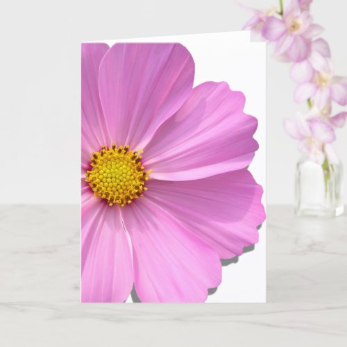 Greeting Card _ Medium Pink Cosmos