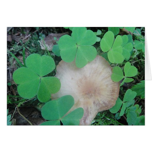 Greeting card mushroom with clover, blank (Front Horizontal)