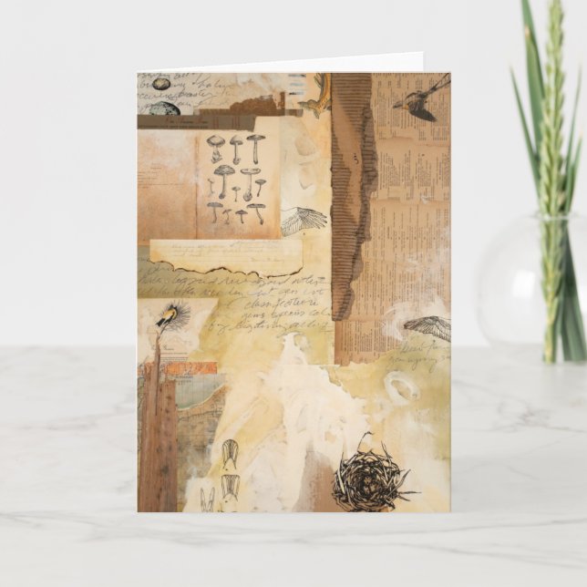 Greeting Card- Nature Ephemera: Flycatcher Fossil Card (Front)