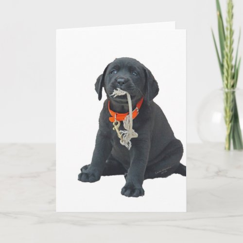 Greeting card or Note Card with Black Labrador Pup