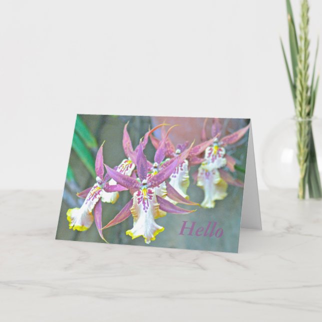 GREETING CARD, "ORCHIDS" CARD (Front)