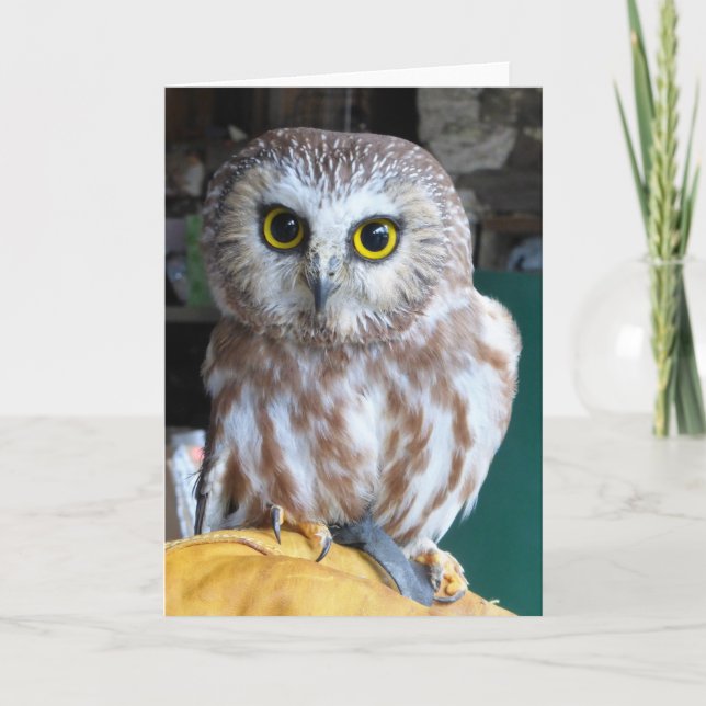 Greeting Card Owl (Front)