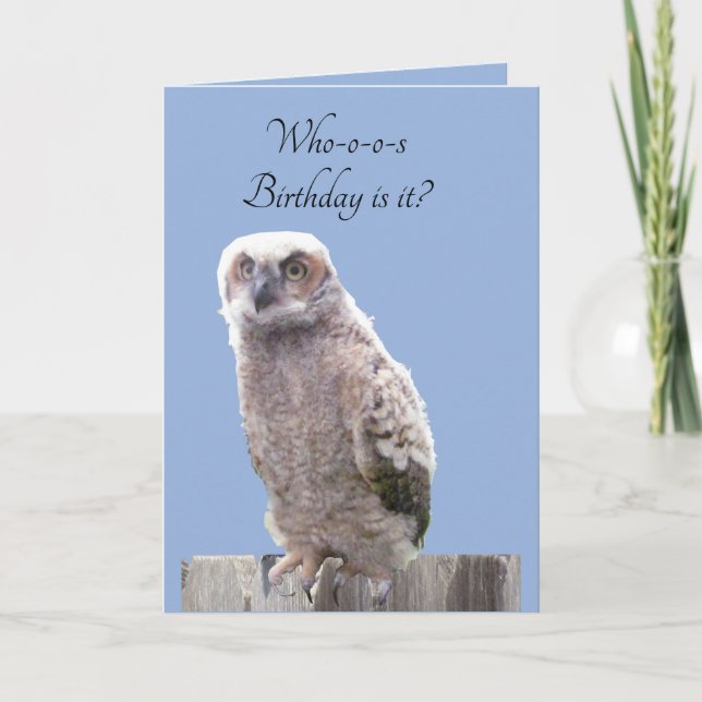 Greeting Card - Owl Birthday Wishes (Front)