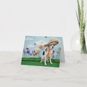 Greeting Card  Photo Of Dog In Sombrero Thank You Card by PlaxtonDesigns at Zazzle