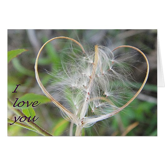 Greeting card plant heart: i love you (Front Horizontal)