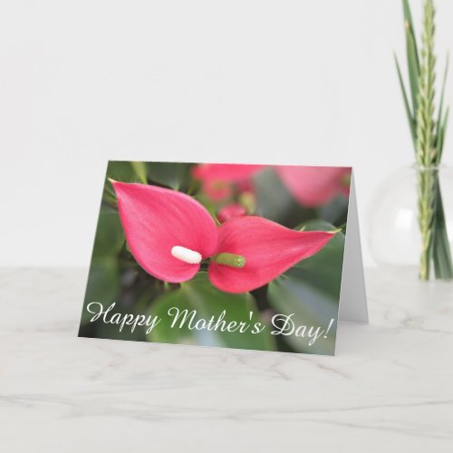 Greeting Card _ Red Anthurium Twins