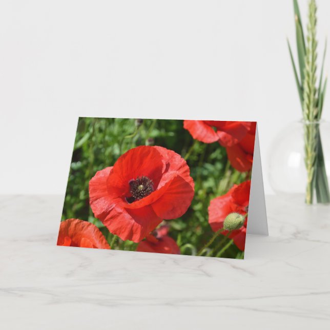 Greeting card - Red poppies (Front)
