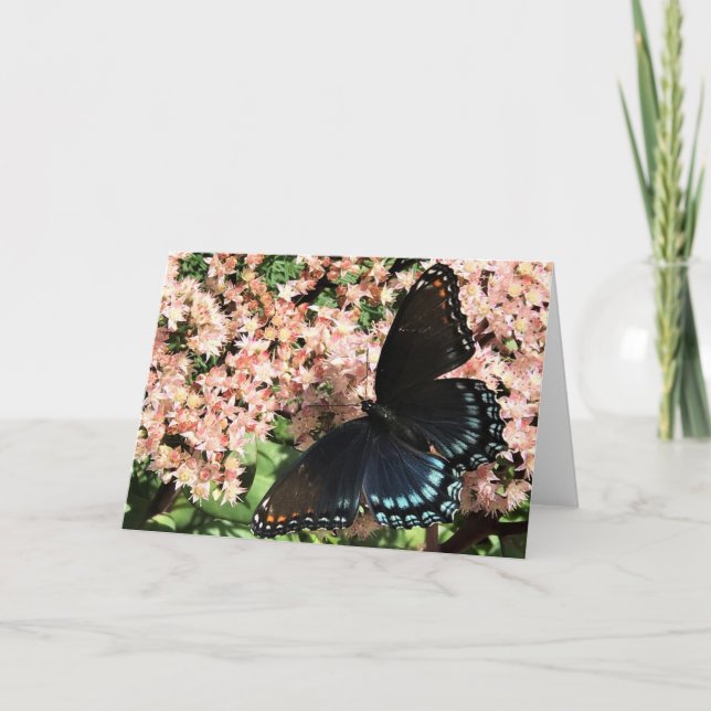 Greeting Card - Red Spotted Purple Butterfly (Front)
