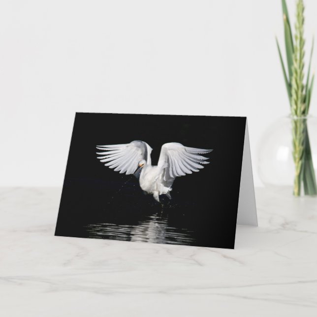 Greeting card - Snowy egret (Front)