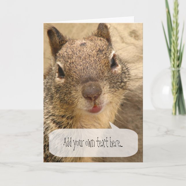 Greeting Card - Squirrel with speech bubble (Front)
