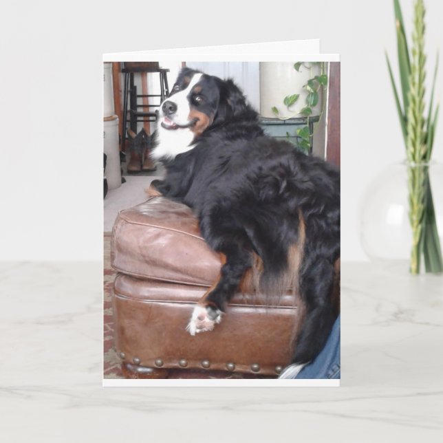 Greeting Card, Standard white envelopes included Card (Front)