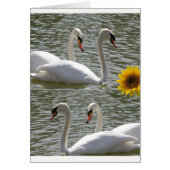 Greeting card swans sunflowers (Front)