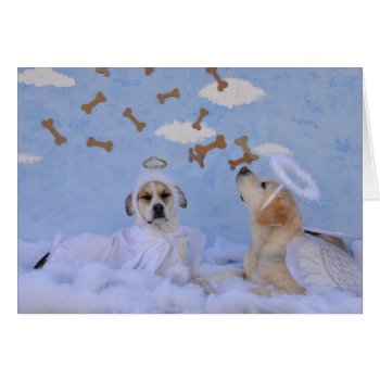 Greeting Card  Sympathy For Loss Of A Dog by PlaxtonDesigns at Zazzle