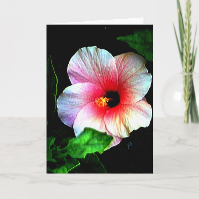 GREETING CARD The MUSEUM Zazzle Gifts Hibiscus 72, (Front)