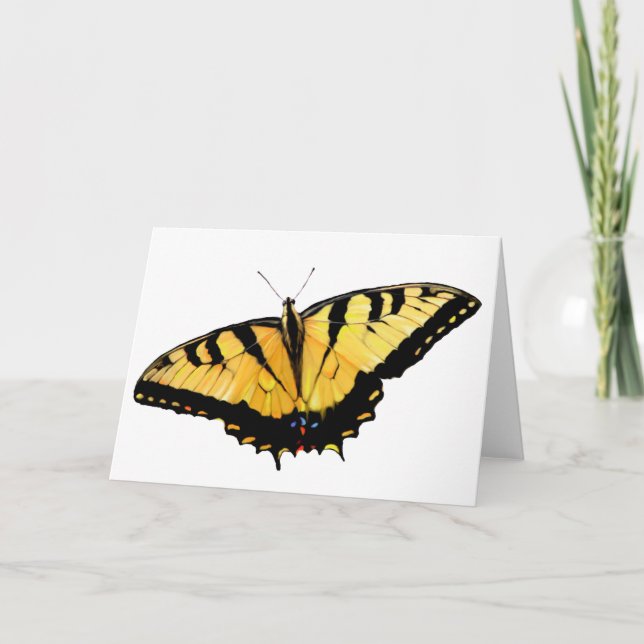 Greeting Card Tiger Swallowtail (Front)