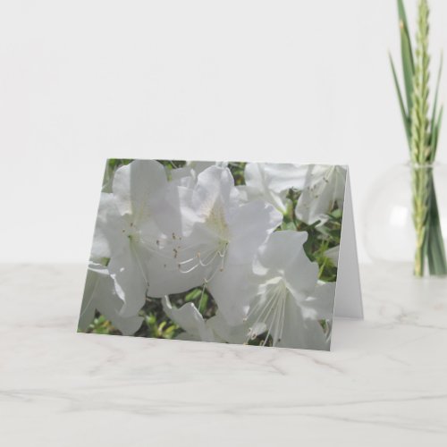 Greeting Card _ White Azaleas