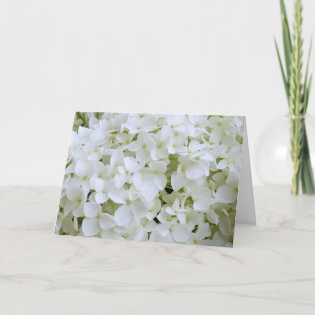 Greeting Card - White Hydrangea (Front)