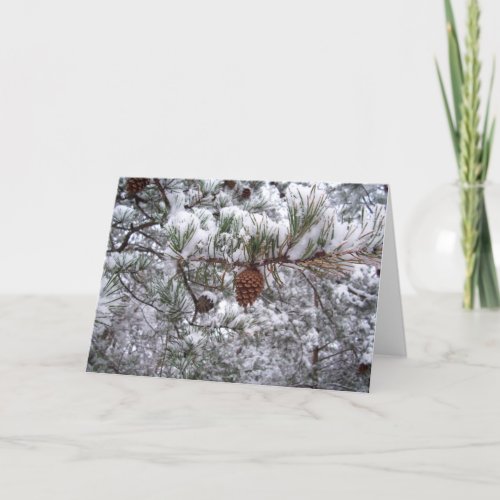 Greeting Card _ Winter Pine