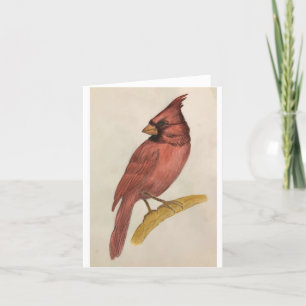 Greeting Card with a Painting of a Cardinal