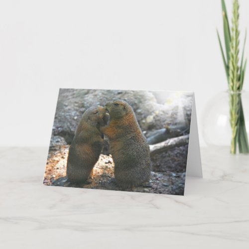 Greeting card with cute marmot couple