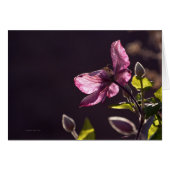 Greeting Card With Flower (Front Horizontal)