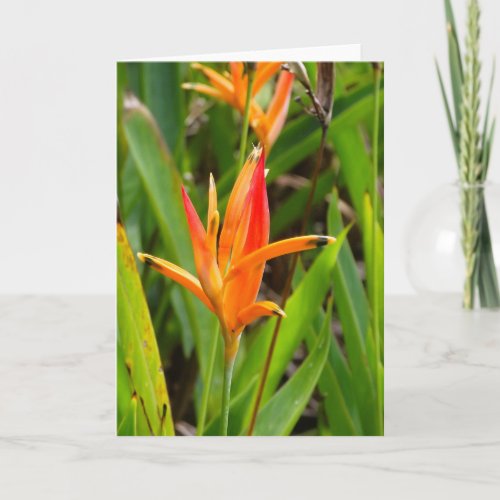 Greeting card with orange flowers on cover