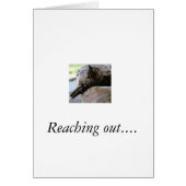Greeting card with photo of cat that is stretched (Front)