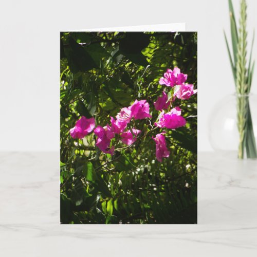 Greeting card with pink floral cover