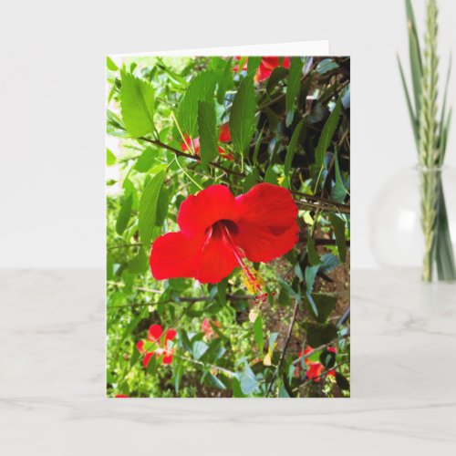 Greeting card with red flower cover