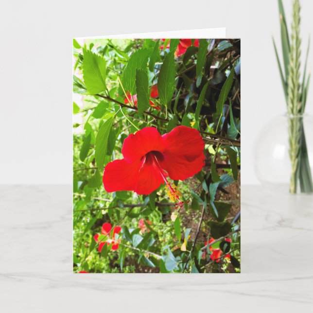 Greeting card with red flower cover (Front)