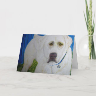Greeting Card, Yellow Labrador Retriever Card