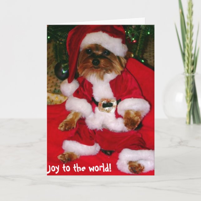 Greeting Cards (Front)