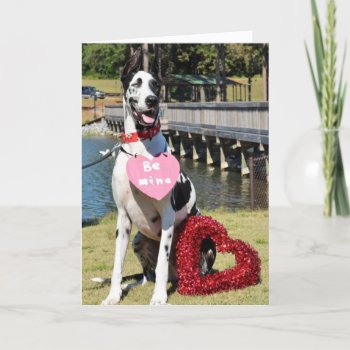 Greeting Cards By Dozer The Therapy Dog by TheDozerStore at Zazzle