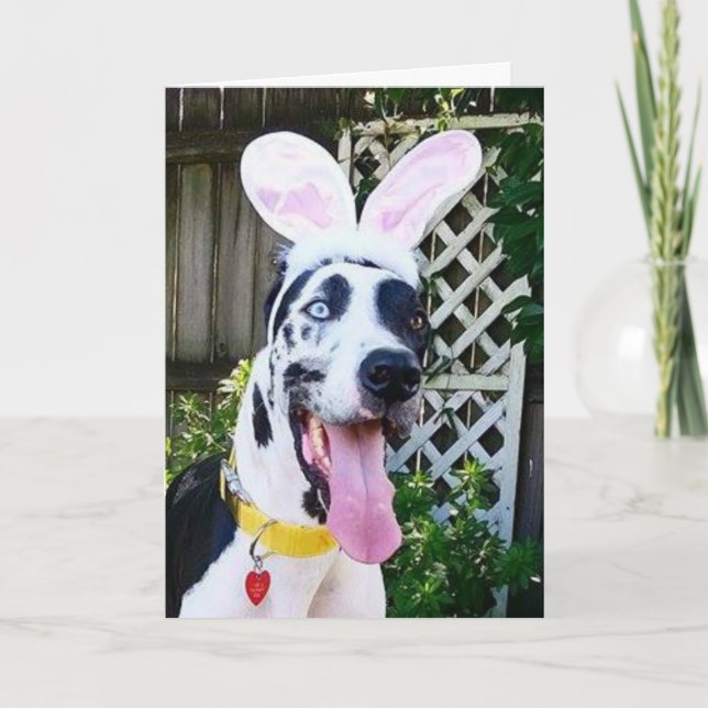 Greeting Cards by Dozer the Therapy Dog (Front)