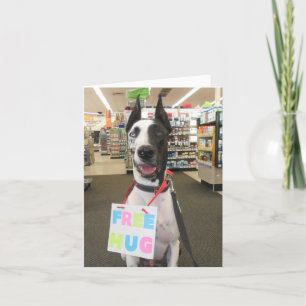 Greeting Cards by Dozer the Therapy Dog