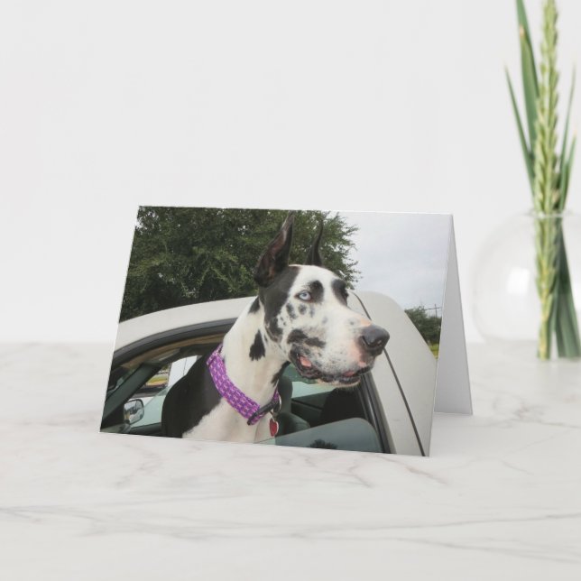 Greeting Cards by Dozer the Therapy Dog (Front)
