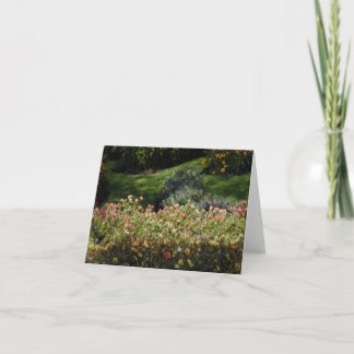 greeting cards by John-Marc Grob