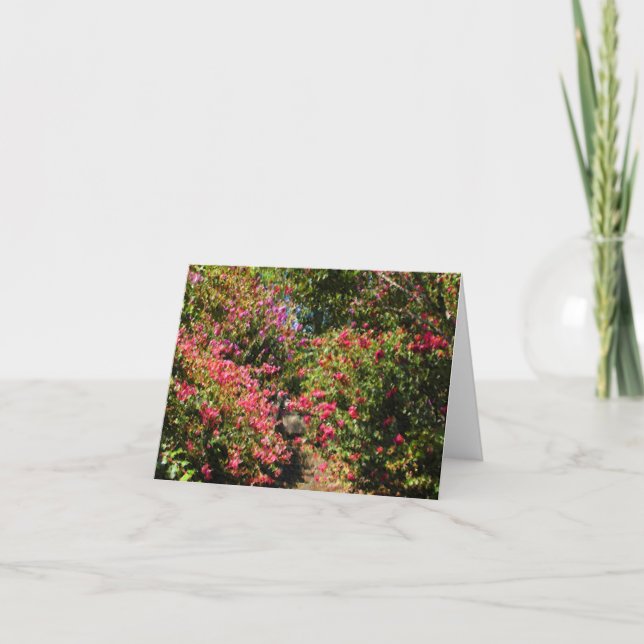 greeting cards by John-Marc Grob (Front)