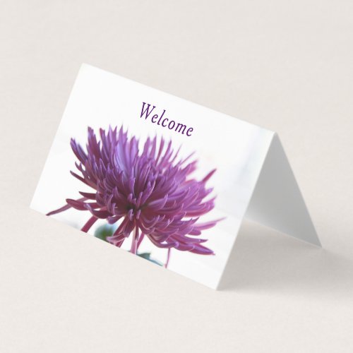 Greeting Cards For All Occasions