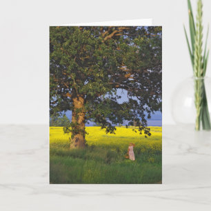 GREETING CARDS NORTH HERO VERMONT