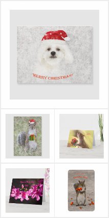 Greeting cards  & postages