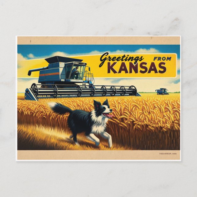 Greeting From Kansas Wheat Combine Border Collie Postcard (Front)