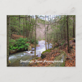 Greeting From Pennsylvania Postcard