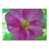 Greeting map pink-yellow game bloom, in blank (Front Horizontal)