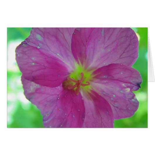 Greeting map pink-yellow game bloom, in blank cards (Front Horizontal)
