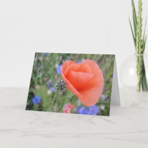 Greeting map poppy flower heart shapable in blank card