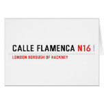 Calle Flamenca  Greeting/note cards