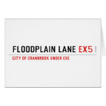 Floodplain lane  Greeting/note cards
